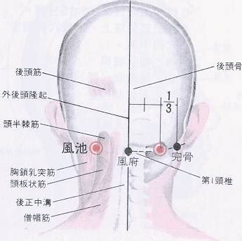 通天穴|医砭 » 经穴库 » 通天